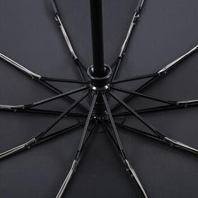 美度（MAYDU）全自动雨伞三折超大号男士商务10骨商务伞M3351黑色