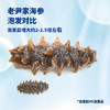 老尹家海洋牧场深海底播5年淡干刺参干货250g30-40头春季滋补礼盒 /粮油调味 /南北干货 /干海参 商品缩略图2