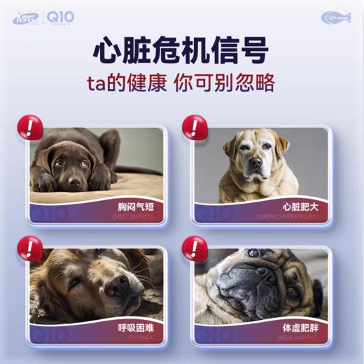 MAG辅酶Q10猫狗专用辅酶软锭养护心脏肥大调理80粒装 商品图1