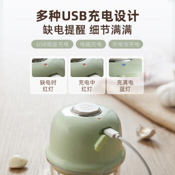 小熊（Bear）婴儿辅食机 绞肉机家用 小型多功能打泥搅拌机 宝宝辅食料理机蒜泥捣碎器 便携辅食机 QSJ-E40B1 商品图1