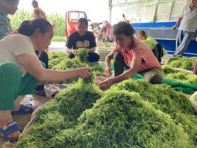 重大发现：鸡蛋与此物同吃，肝净了，眼睛明亮了，睡眠好了，现在吃最好！(切记收藏）