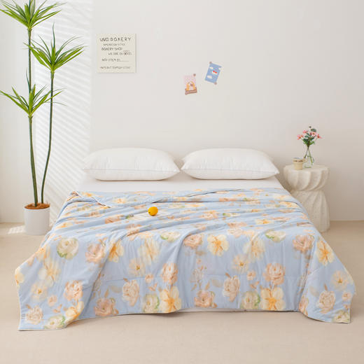臻彩凉感夏被 商品图1