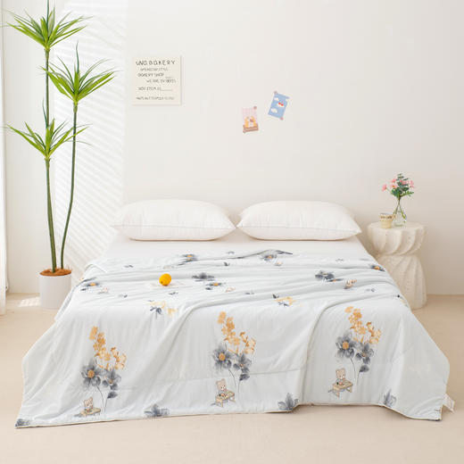 臻彩凉感夏被 商品图7