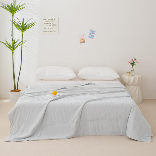 臻彩凉感夏被 商品图3