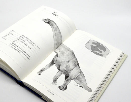 【精装】恐龙全书|  科学家讲述的恐龙‘冷知识档案’ 商品图6