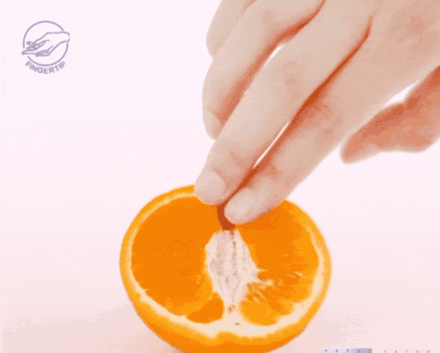 tutieshi_640x514_3s (1).gif