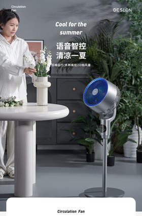 【德世朗DDQ-FUN05空气循环扇】 品牌清库存 紧急亏本清 锁库存了！ 性价比超高的济适用型风扇！品牌应季大清仓‼️秒杀‼️德世朗台立两用循环风扇♻️破价💰开秒！大牌品质不用怀疑！