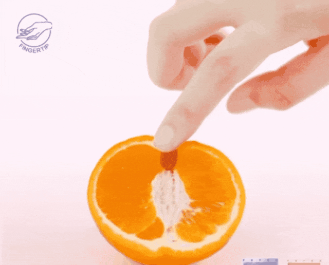 tutieshi_640x516_2s (1).gif