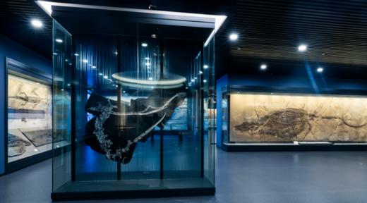 【暑期预告】探秘“中国天眼”，苍穹之下的超级瞳孔即将向你敞开！ 商品图1