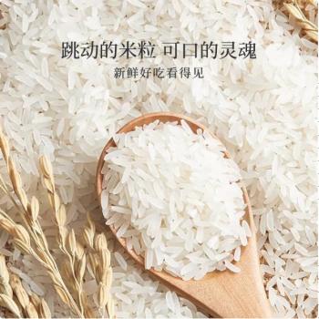 金优 几里田广西长粒香5kg 米龙须香米10斤 真空源头直发 当季新米 /粮油调味 /米 /丝苗米 商品图7