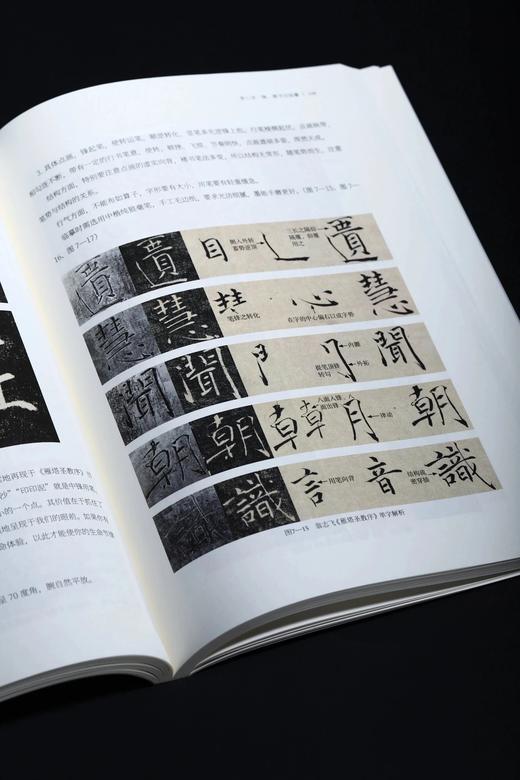 《中国书法临摹十讲》（全视频版），16开，平装，翁志飞著，上海书画出版社2025年一版一印，248页，定价128元，售价98元。 商品图8