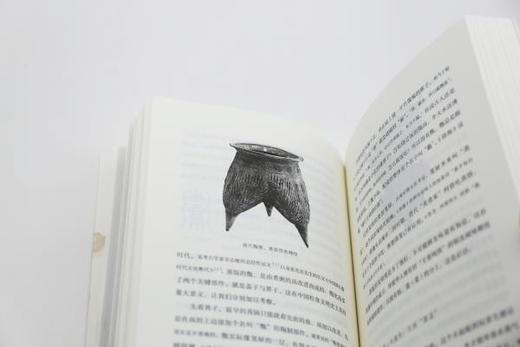 味即道：中华饮食与文化探源  高成鸢 著丨知味书系列 商品图6