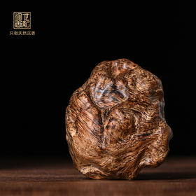 首脑丨天然菩萨沉香 沉水级 31克 SP11254