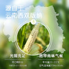 糯小鲜云南拇指玉米1斤（8-10根） 年货西双版纳新玉米儿童早餐宝妈代餐 /粮油调味 /杂粮 /谷米类 商品缩略图4