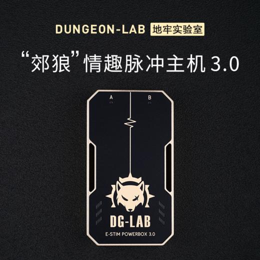地牢实验室“郊狼”专业级情趣电击主机3.0 商品图1