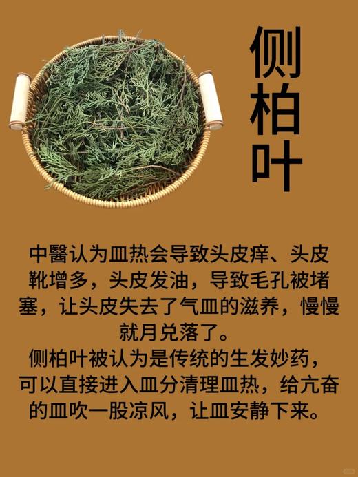 🔥草本🈚科技❗【侧柏叶植物洗发水】用完两瓶😱😱头顶的小绒毛压不住了！！！ 商品图3