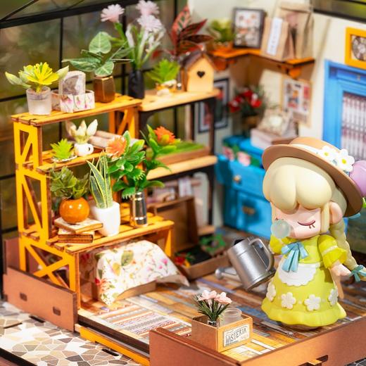 若态DG104凯西花房 商品图3