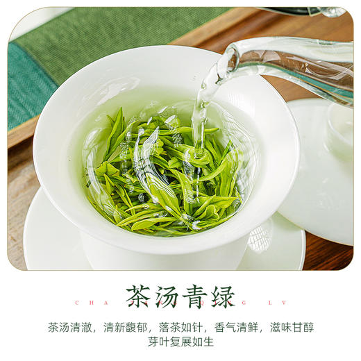 【2025新茶】茶马世家特级恩施玉露非遗蒸青明前绿茶品鉴装6克 商品图5