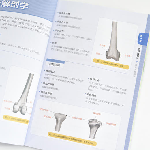 膝关节稳定性评估与训练指南 膝关节损伤预防功能强化训练 商品图3