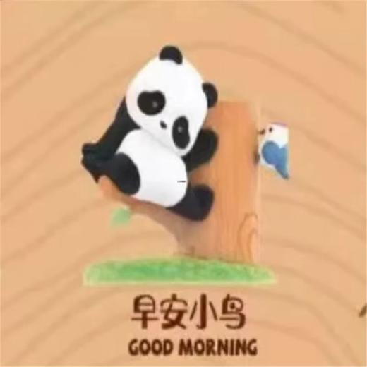 【春上新】8楼 乐高  52TOYS胖哒幼熊猫果果树系列盲盒  吊牌价   69元 商品图6