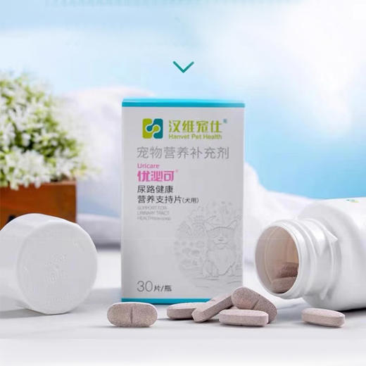 汉维宠仕优泌可化石通肾猫用狗膀胱泌尿血结石黏膜三金化石丹 商品图2
