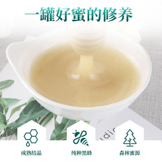 东北黑蜂椴树蜜 原始森林野生雪蜜 纯正结晶蜂蜜500g/瓶 商品图1