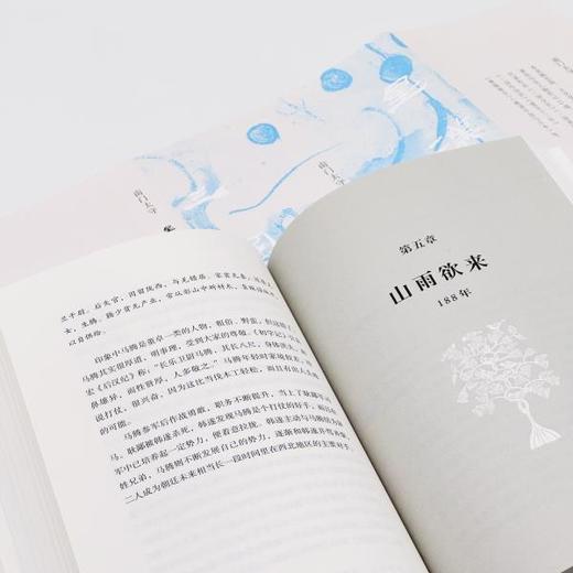 『星汉灿烂三国史』第一卷《中平：东汉王朝大崩溃（184一189）》（南门太守著） 商品图4