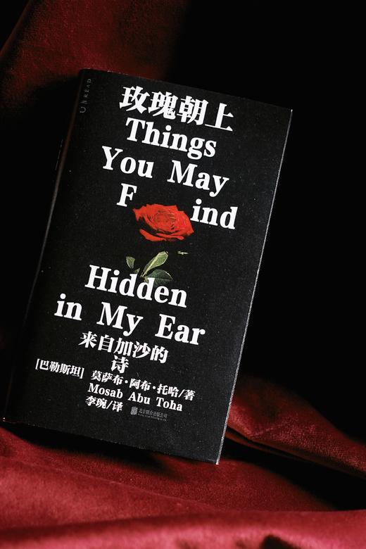 玫瑰朝上（精装，送限定透卡2张），90后巴勒斯坦青年诗人、2025普利策评论奖得主作品。美亚评分4.8，Goodreads评分4.75，获巴勒斯坦图书奖、美国图书奖和沃尔科特诗歌奖。 商品图4
