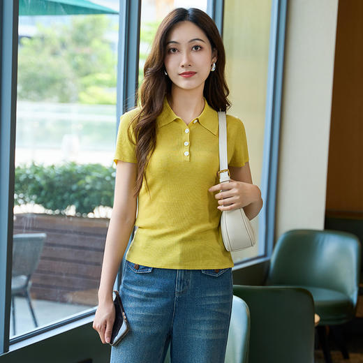 EITIE爱特爱气质商务通勤简约polo翻领修身显瘦针织衫2025夏新款B2501622 商品图5