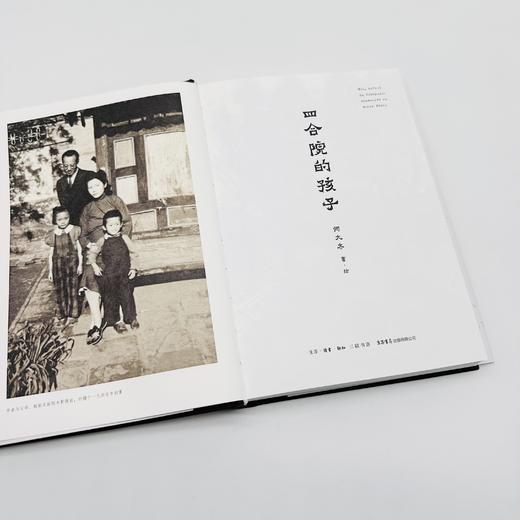 四合院的孩子丨何大齐新作，北岛推荐 商品图7