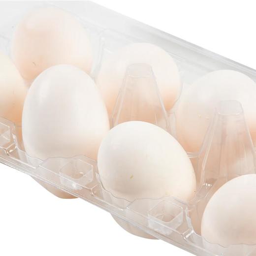 鸽子蛋10枚 商品图2