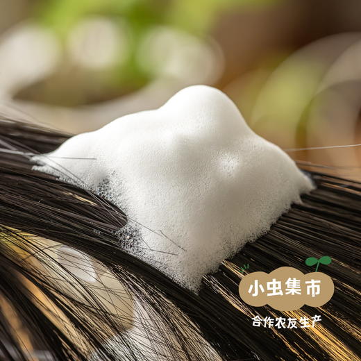 茶树柠檬草洗发慕斯 500ml （洗发水）| 合作农友生产，来自广东中山五桂山，生产者：郝冠辉 ＆【公平贸易农人定价】 商品图2