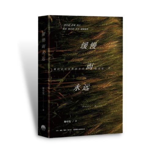 缓慢而永远丨姬中宪 著 一部照见你我的文学佳作孙甘露,鲁敏,阿乙,张莉,杨庆祥,木叶,真挚推荐 商品图2