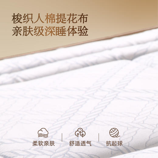 雅芳婷床垫家居床上用品佛罗伦萨床垫天然乳胶棕榈棉床垫LK073 商品图1