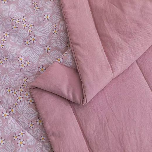 【春上新】10楼 恐龙 小茶芯印花抗菌纤维夏被-粉果 200*230cm 吊牌价880元 活动价99元 商品图3