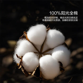 水星家纺床上四件套大提花被套轻松高级感套件床单款1.5x2米-米兰 商品图3