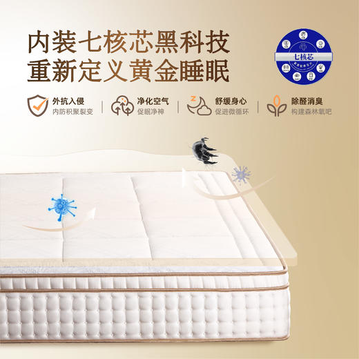 雅芳婷床垫家居床上用品佛罗伦萨床垫天然乳胶棕榈棉床垫LK073 商品图4