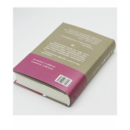 早生贵子：帮不了你养娃，但能帮你觉悟丨学者杨早当父亲十年的心灵史，50个问题，探寻成长的另一种可能 商品图5