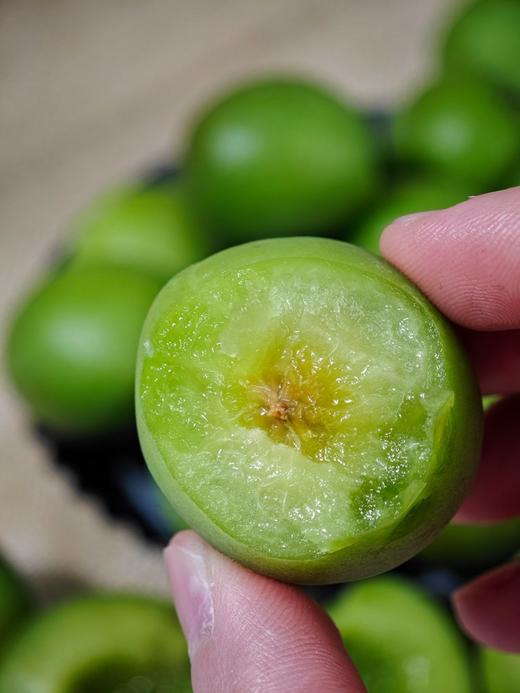 【秒杀】高山老树青梅2.5斤装 商品图3