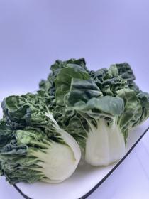 朴愿甄选   高原奶白苗   250克