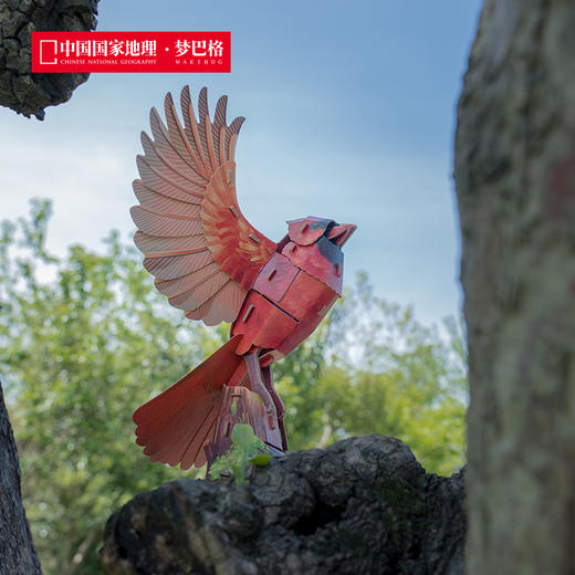博物文创 飞鸟集系列立体拼插纸模 会发声纸模 益智动脑 雕鸮 主红雀 白头海雕 蜂鸟 冠蓝鸦 商品图1