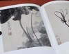 绝版：《八大山人精品集：花鸟卷、山水卷》，全2册，正8开，布面精装，八大山人绘，陈传席主编，江西美术出版社2011年一版一印，近400页，定价880，售价388元。品相9-95成。 商品缩略图7