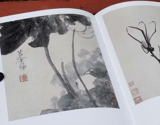 绝版：《八大山人精品集：花鸟卷、山水卷》，全2册，正8开，布面精装，八大山人绘，陈传席主编，江西美术出版社2011年一版一印，近400页，定价880，售价388元。品相9-95成。 商品图7