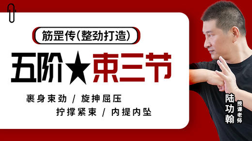 第7课 内提内坠 技术讲解 商品图0