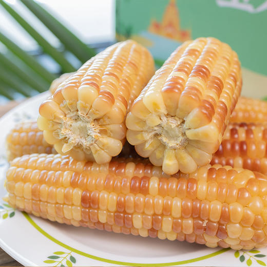 版纳香糯小玉米 | 新鲜加工 商品图2