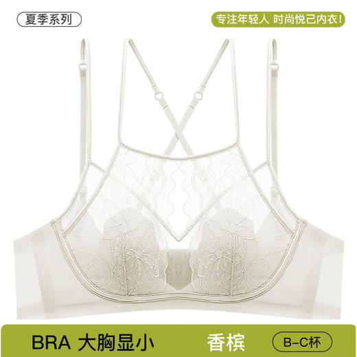 【轻纱蕾丝❗️超薄猫爪杯内衣】天生反重力，大胸防垂，穿出蜜桃胸！夏季女细肩带大胸显小聚拢轻薄性感美背文胸罩 商品图4