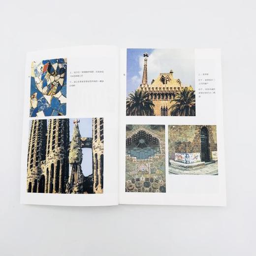 高迪传：未曾驯服丨建筑界达芬奇的难得传记，走近高迪谜一般的人生[荷] 海斯范亨斯贝根 著 商品图5