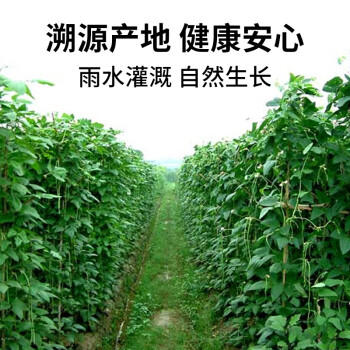 弘三利铺子豆角干豆角豆角嫩豇豆干农家自制干菜火锅食材干豆角200g袋装 /粮油调味 /南北干货 /干菜类 商品图8