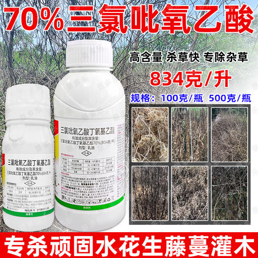 70%三氯吡氧乙酸除络石藤水花生构树藤蔓杂灌恶性杂草专用除草剂 商品图1