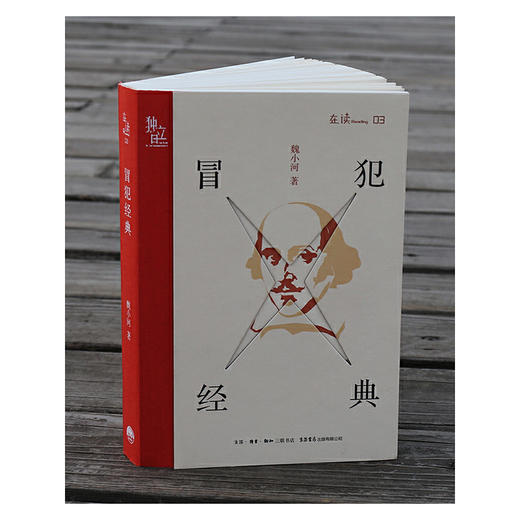 冒犯经典丨魏小河书评集，张佳玮作序推荐！ 商品图3